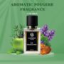 Laxsa Endless Aura Perfume for Men 50ml | Long Lasting Aromatic Fougere fragrance